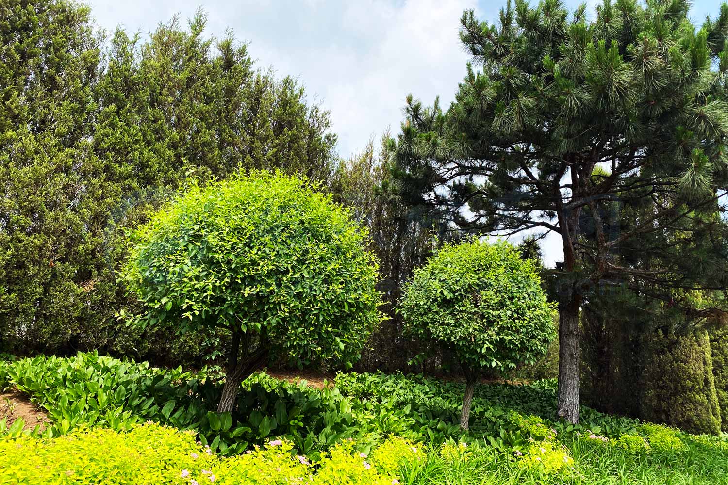 沈阳百贯山公墓