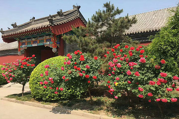 永定塔陵园