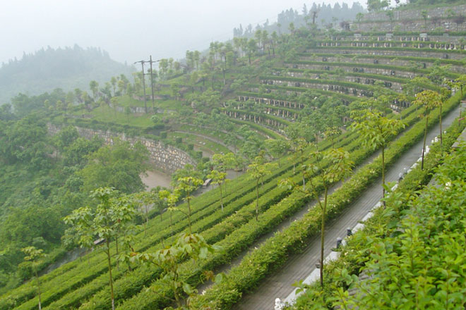 金银山公墓