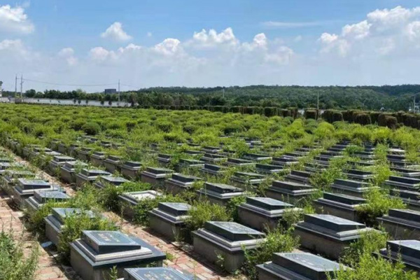 西安陵园从业者掌握现代的殡葬科学知识和服务技能，才能完成市民赋予神圣的特殊使命！