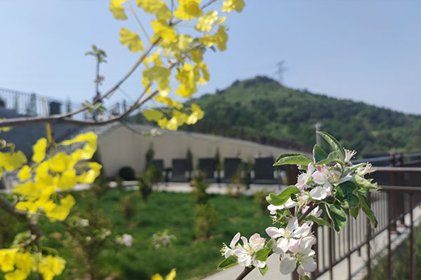 石家庄古中山陵园：喧嚣都市里的静谧角落