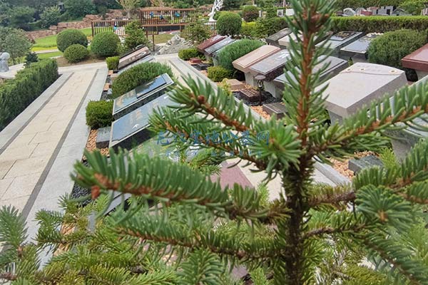 南京龙安公墓