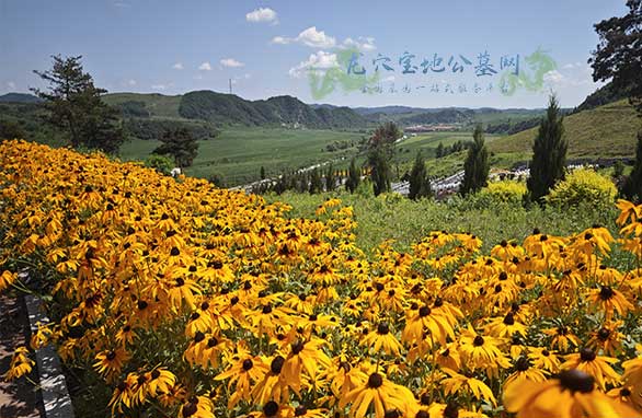 南京金牛山陵园：四季如画的永恒栖息地