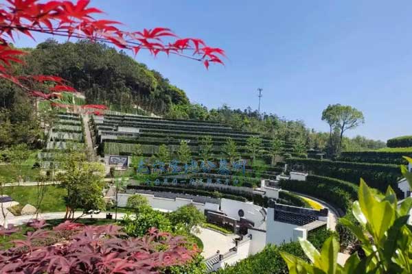 杭州墓地新宠：安吉龙山源，高品质与性价比的结合