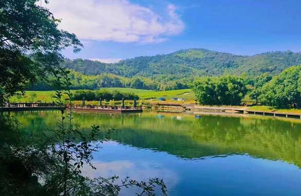 杭州径山竹茶园墓地选购指南：选择理想安息之地的实用建议