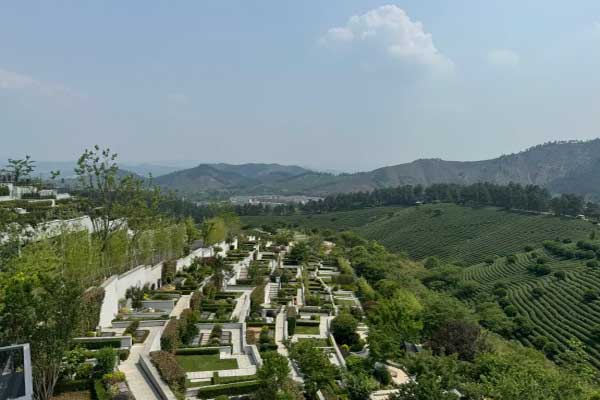 安吉龙山源墓园，绿意盎然之地，人生归宿的绿洲 