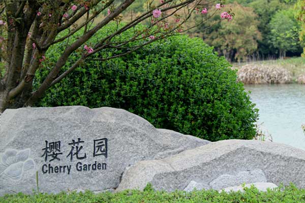 武汉仙鹤湖湿地园，实用攻略，让您的祭扫之旅无忧无虑！