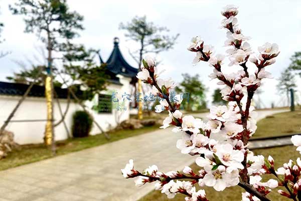 石家庄天安堂公墓都市喧嚣中的宁静港湾，探索人文生态的静谧魅力