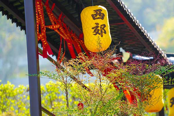 重庆陵园，静谧山间，承载生命记忆的殿堂