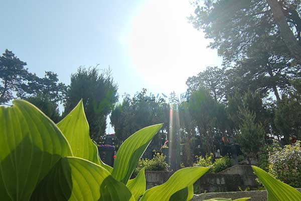兰生园公墓服务至上，让哀思更加温馨