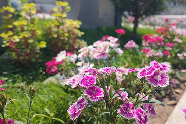 南昌青山墓园，灵魂安息的圣地