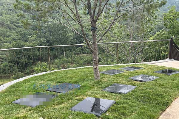 安德生命纪念公园，生命之光下的另一种温暖“存在感”