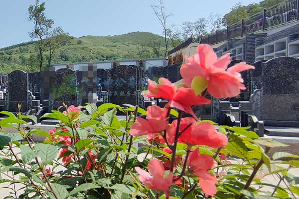 盘龙福地公墓，全程无忧，您的墓地解决方案！