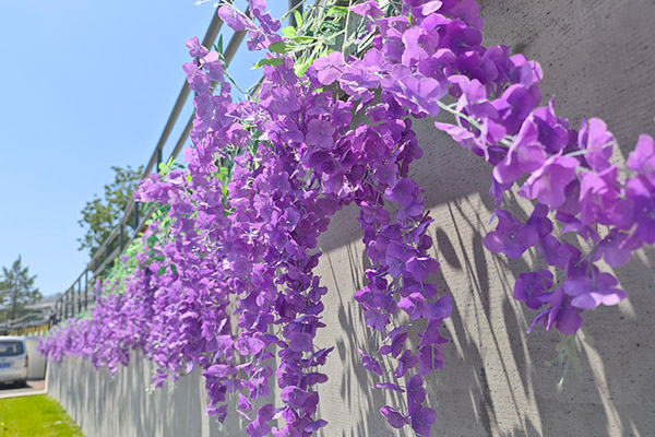 统筹西安陵园资源，平衡区域供给，补齐局部公共服务短板