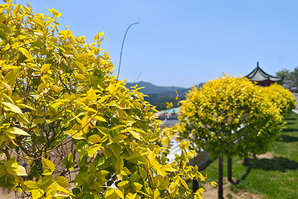 长春公墓设施选址布局需满足便捷使用兼顾其对周边环境的影响 长春公墓设施选址布局需满足便捷使用兼顾其对周边环境的影响