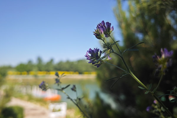 尊重民族习俗，南昌公墓行业保障多元服务需求！