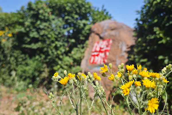 加快完善南京墓园殡葬法规和政策体系的思路与行动方案