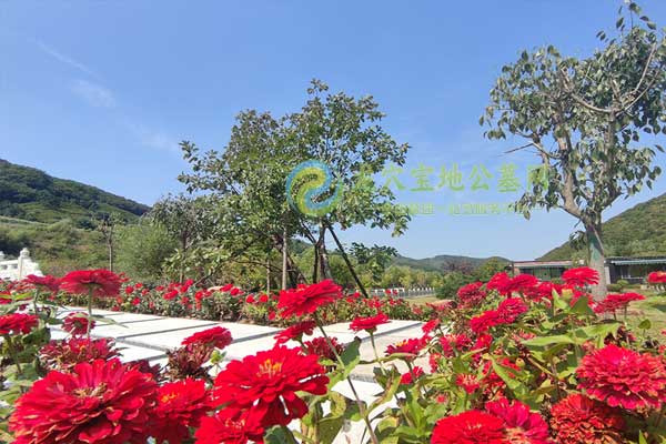 临安天竹园，杭州山水之间的静谧生命颂歌