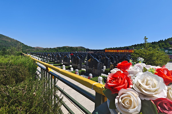 科学预测：重庆公墓设施规模与葬式结构改革