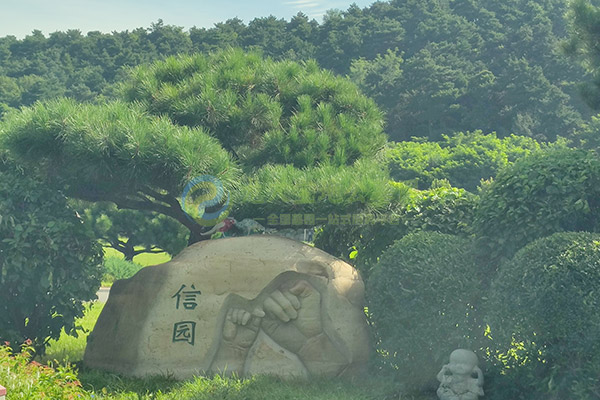 沈阳陵园树葬有年限限制吗？家属需要了解的使用期限问题