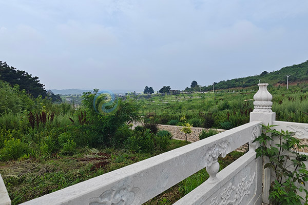 提前购买西安墓地有哪些规定和注意事项？