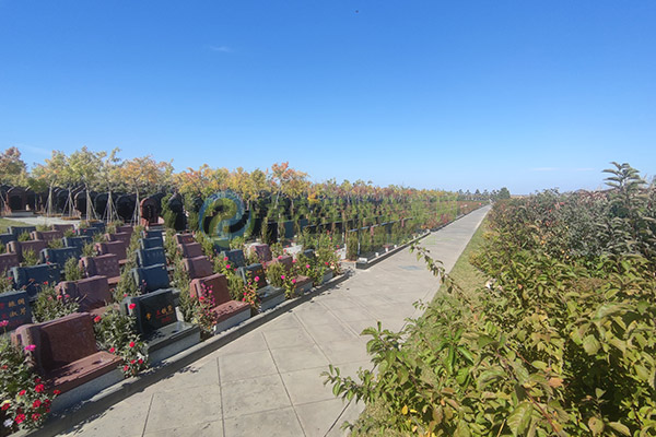 重庆墓园清明祭祖为什么不用择日子?是传统改变了吗? 重庆墓园清明祭祖为什么不用择日子?是传统改变了吗?