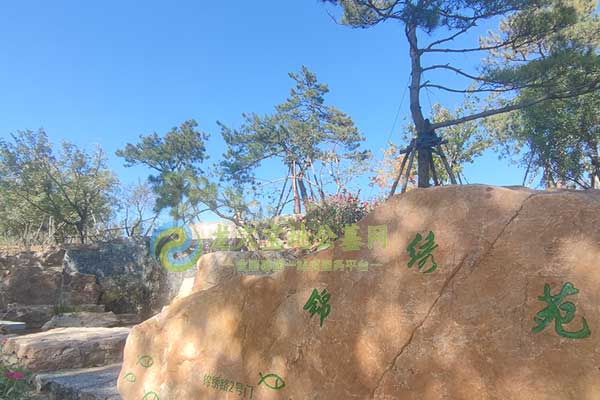 长春长庚园，生态之园，人文之光，生命之韵