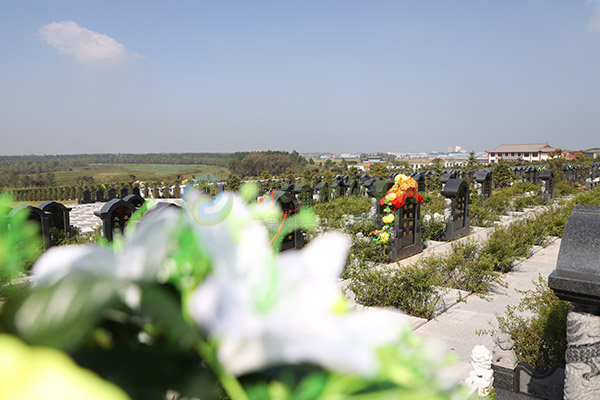南昌墓地生态葬的四大“害处”或局限性？是否真的有害？