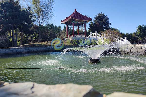 天津周边墓园推荐，生命之树，静谧诗意地生长