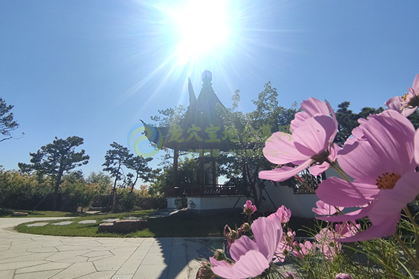 吉林墓地墓碑银器三大禁忌：保护先人风水的关键细节