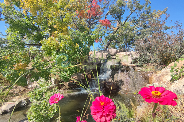 长春墓园价格亲民，2026清明选墓更轻松！