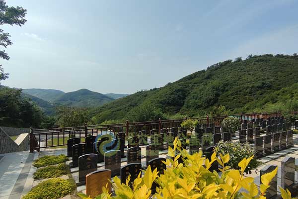 济南墓园绿意盎然，与自然和谐共存的纪念园