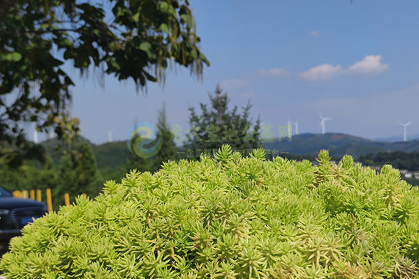 西安墓园价格全攻略：2026惠民品质墓地选购指南，手续一站式搞定！