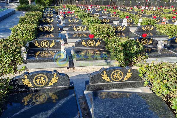 永恒之梦，诗意归途——九公山长城纪念林的安宁画卷