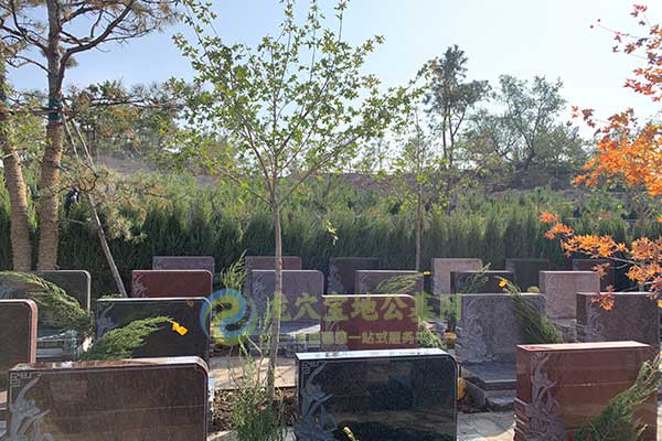 长春长庚园，自然和谐铭记生命的永恒价值