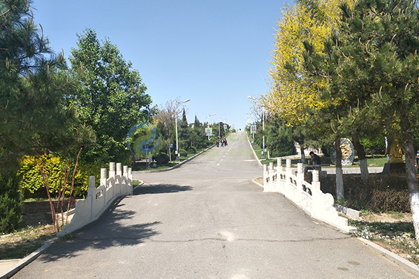 济南墓园清明选墓价格大全2026攻略：一步到位，选对安息家园