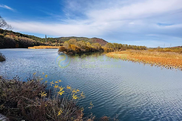如何申请北京墓园海葬?详细流程与所需材料 如何申请北京墓园海葬?详细流程与所需材料