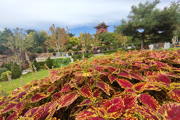 武汉公墓的公共设施有哪些内容？公墓配套设施详解