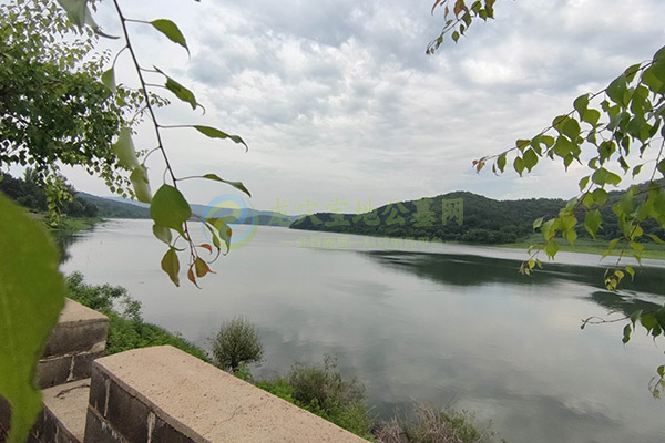 吉林墓园选号有何讲究？公墓编号选择与寓意解析