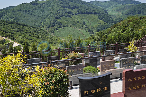长春墓地树葬的费用是否包含植树成本？是否有长期管理费？
