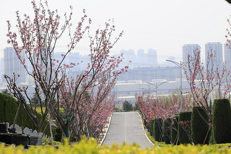 沈阳公墓价格的影响因素及地区差异分析！