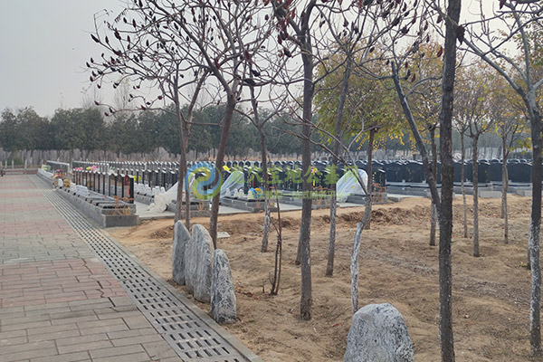 西安陵园树葬介绍：生态环保，生命延续