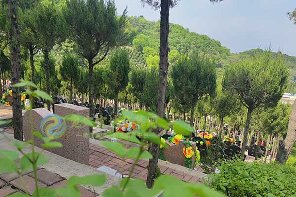 沈阳大河贝墓园，追思之地，生命之花绽放