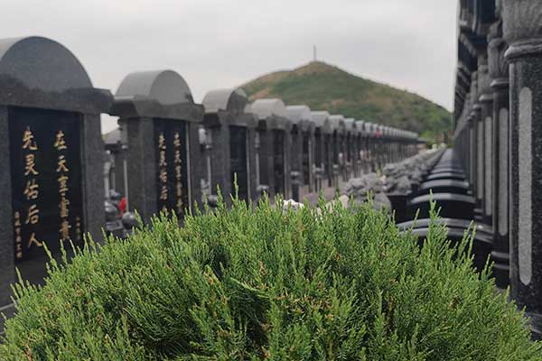莱芜福禄园 莱芜福禄园