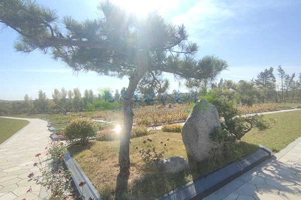 长春陵园大全墓地价格表
