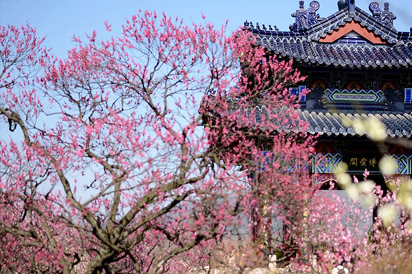 梅花山公墓