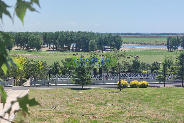 公益性墓地