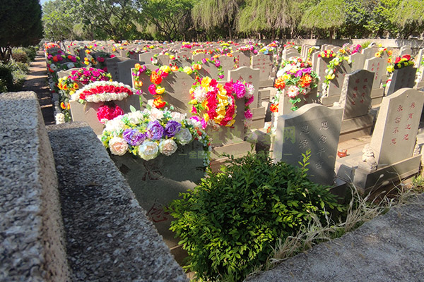 重庆墓园价格一览全攻略：2026清明选墓安心指南！