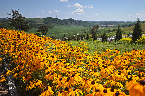 武汉墓园选墓全攻略：2026清明墓地价格透明对比、选购流程与实用避坑Tips