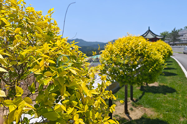 武汉墓园选墓全攻略：2026清明墓地价格透明对比、选购流程与实用避坑Tips